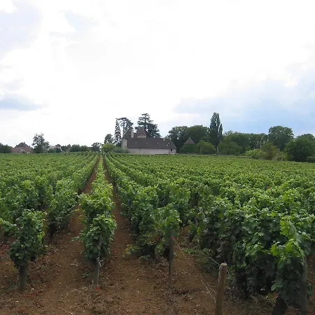 Chateau De Chorey Bed & Breakfast *
